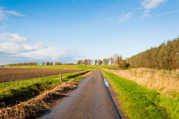 Naklejka premium Narrow country road in a Dutch autumn landscape