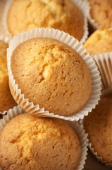 Cupcakes close-up