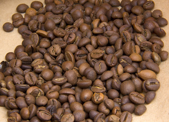 coffee grains