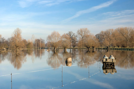 Flooding field meadow