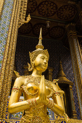 Fototapeta premium Golden female Garuda