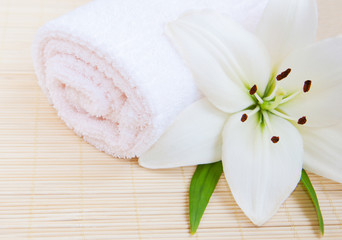 white lilly and towel