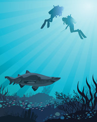Naklejka premium Divers looking to the shark