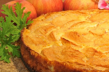 Apfelkuchen