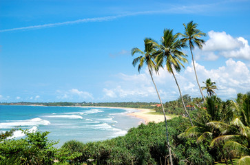 Fototapeta na wymiar Plaża, palmy i turkusowe wody Oceanu Indyjskiego, Bentota, Sri L