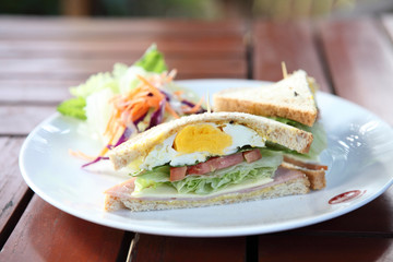 Club sandwich with on wood background