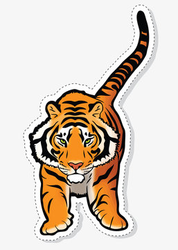 Tiger sticker