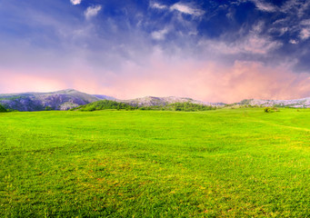 Bright meadow and sky. Fresh summer composition