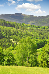 Fototapeta na wymiar Wiosna krajobraz w parku narodowym Sumava - Czechy
