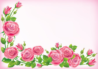 Fototapeta na wymiar Rama z różami