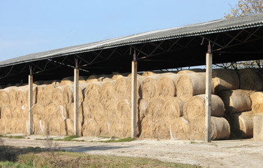 straw hay bale