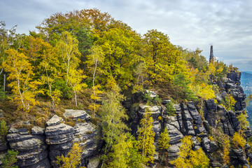 Lilienstein with colorful trees