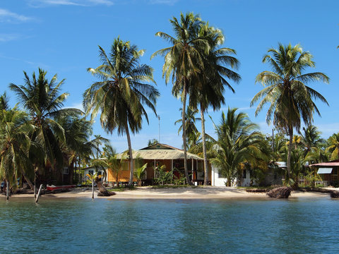 Caribbean beach house under coconut trees
