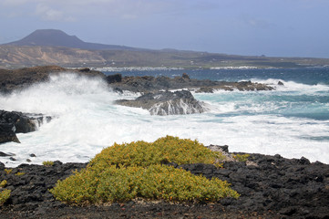 Beautiful coast of Lanzarote