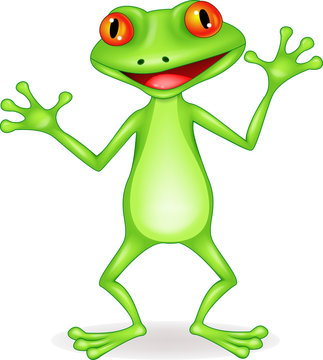 Happy frog cartoon