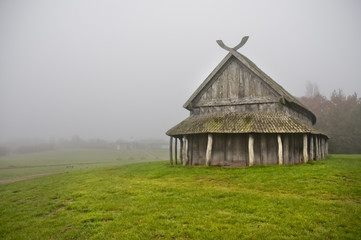 Viking's house