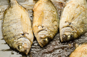 Orate cotte al forno