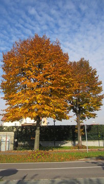 autunno italiano