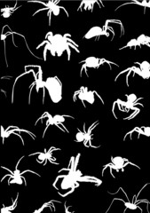 background with white spiders