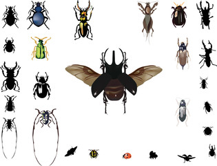 bugs collection isolated on white
