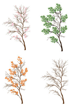 four seasons isolated small trees