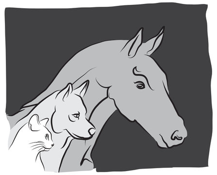 vétérinaire pour chien, chat et cheval