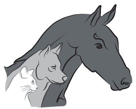 logo chat, chien et cheval - vétérinaire