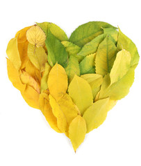 Naklejka premium Bright autumn leaves lie in shape of heart isolated on white