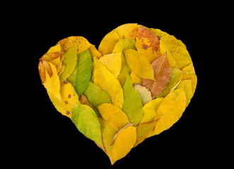 Bright autumn leaves lie in shape of heart isolated on black