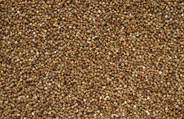 buckwheat seeds