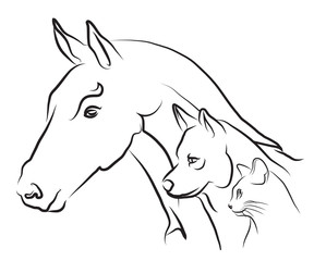 vétérinaire pour carnés et animaux de compagnie