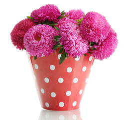 pink aster flowers in pail, isolated on white