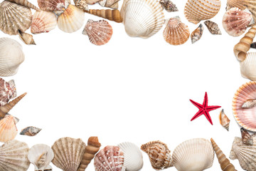 Sea shells frame on white background