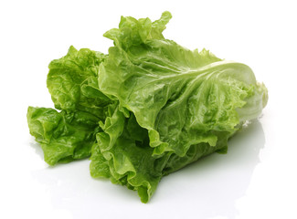 Fresh Lettuce