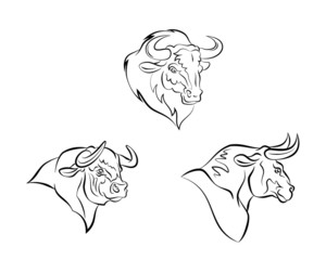 Bull head