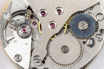 Clockwork inside, macro