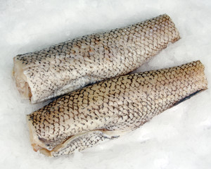 frozen cod (pallock) on ice