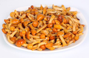 marinated honey agarics