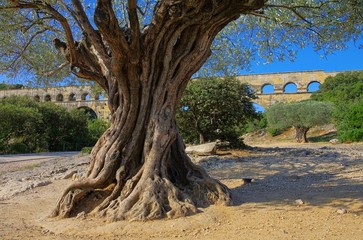 Pont du Gard 09