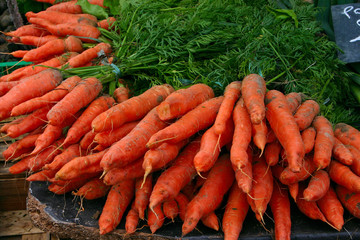 Carrots at the market