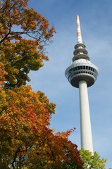 Fototapeta premium Fernsehturm in Mannheim im Herbst