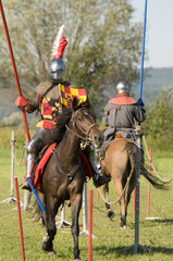 medieval show