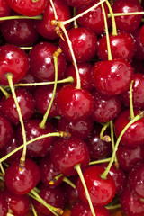 heap of cherries