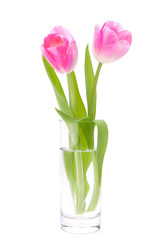 Pink tulips bouquet in vase isolated on white background