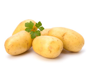 New potato and green parsley