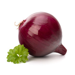 Red onion tuber and fresh parsley