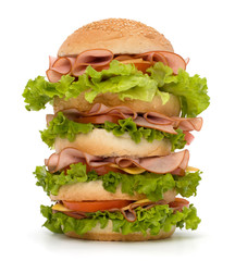 Junk food hamburger