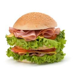 Junk food hamburger
