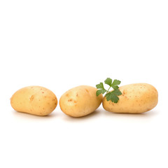 New potato and green parsley