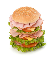 Junk food hamburger